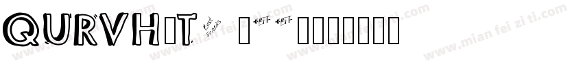 QURVH-T1 (22)字体转换